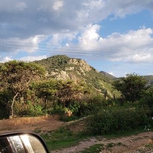 Meet your Posher, Martha